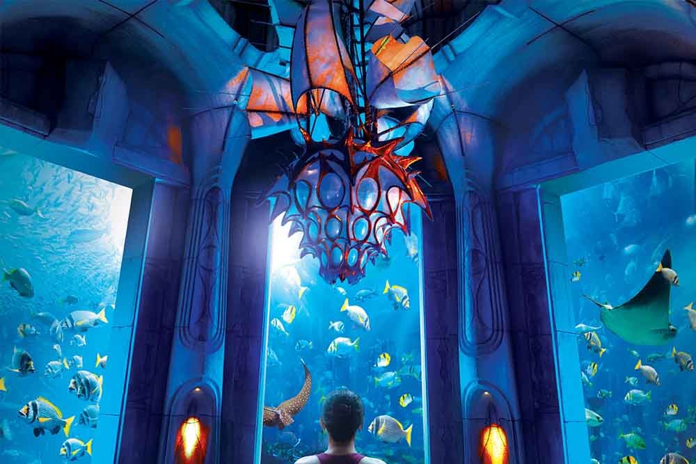 verwijderen motor uitspraak Lost chambers Aquarium | E-Tickets AED 85 | Atlantis The Palm - JTR Holidays