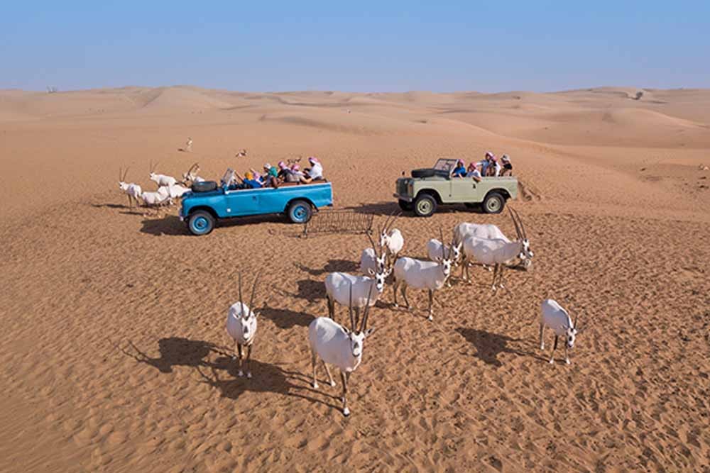 dubai desert safari heritage