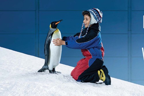 The BEST Snow Penguins, Ski Dubai Entry tickets 2023 - FREE