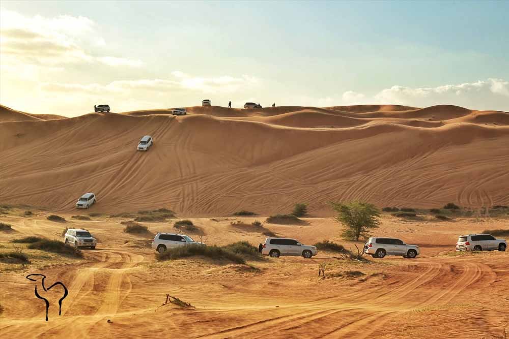 desert safari ras al khaimah reviews